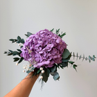 Violetti hortensia
