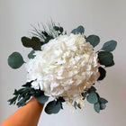 Valkoinen hortensia