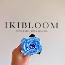 Premium ruusu baby blue