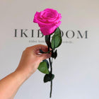 Premiun ruusu pinkki